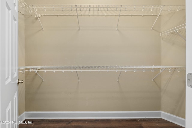 1309 Acorn Ridge Ct, Saint Augustine, FL 32092 - spacious closet featuring dark wood finished floors