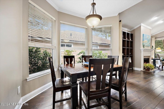 dining space featuring dark wood-type flooring, crown molding, and a textured ceiling