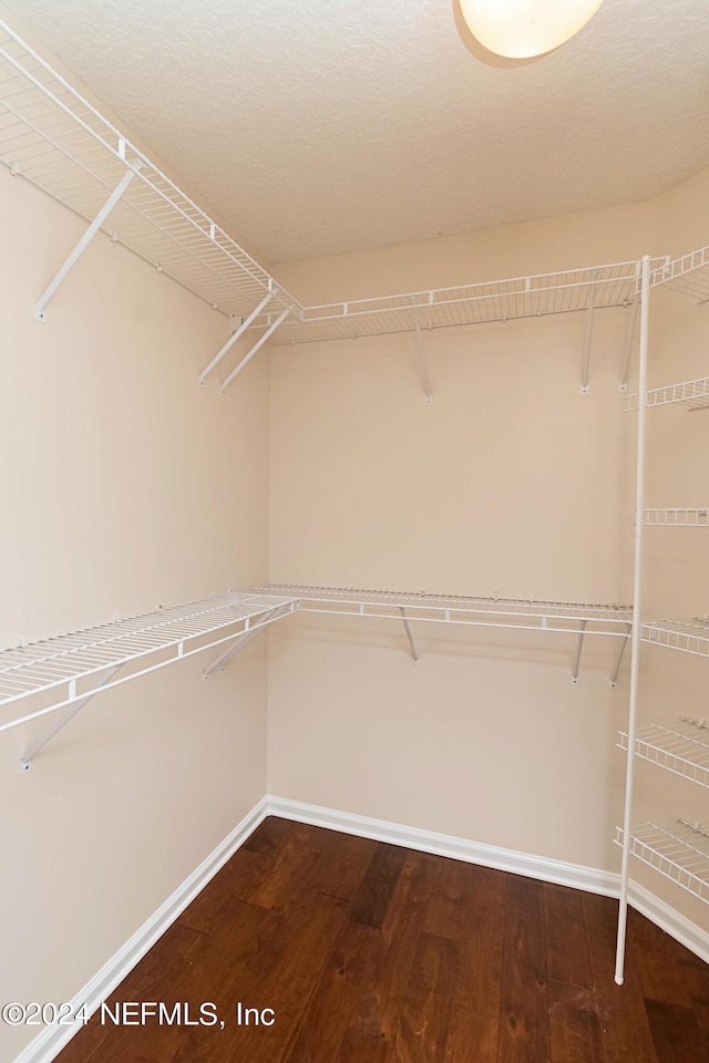 walk in closet with hardwood / wood-style floors