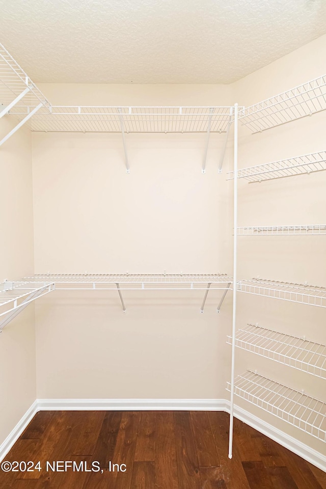 walk in closet featuring hardwood / wood-style flooring