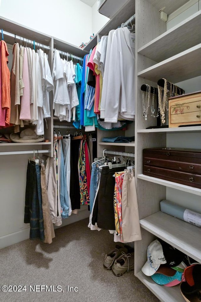 walk in closet with carpet flooring