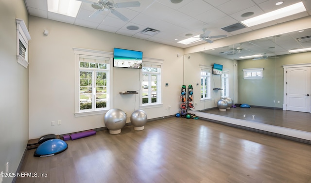 exercise area with hardwood / wood-style flooring, a drop ceiling, and ceiling fan