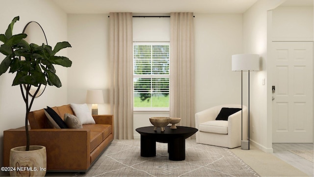 living area featuring carpet flooring and a healthy amount of sunlight
