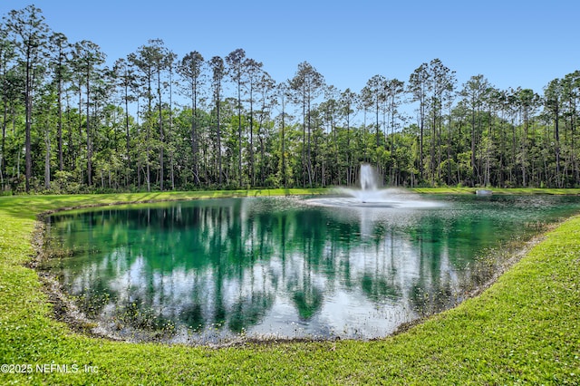 view of water feature