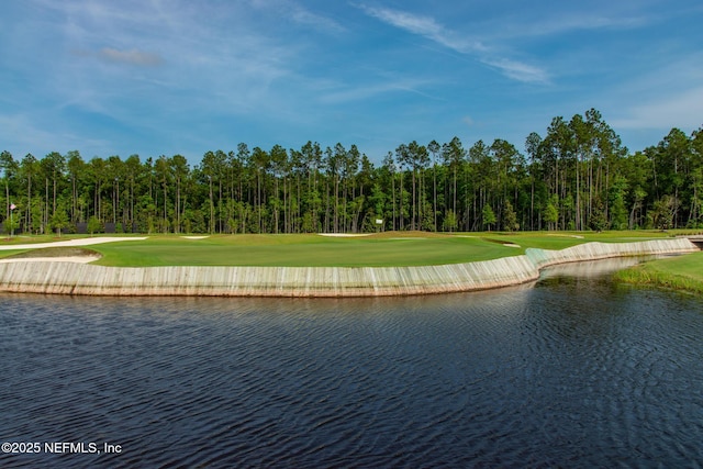 view of water feature