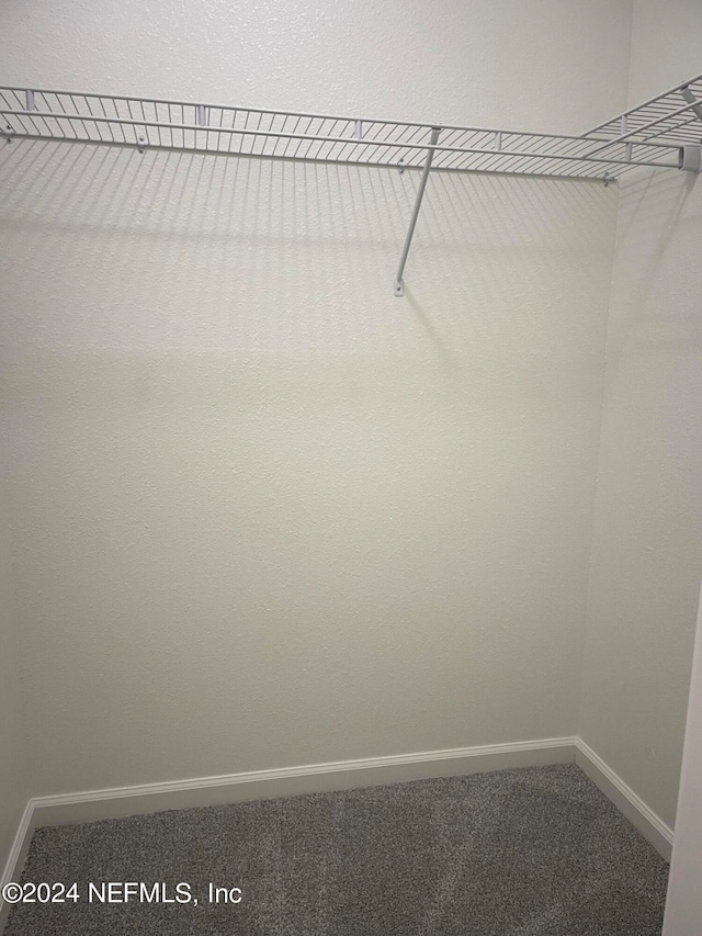 walk in closet featuring carpet flooring