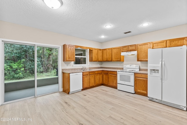 kitchen featuring white appliances, a textured ceiling, light hardwood / wood-style flooring, and sink