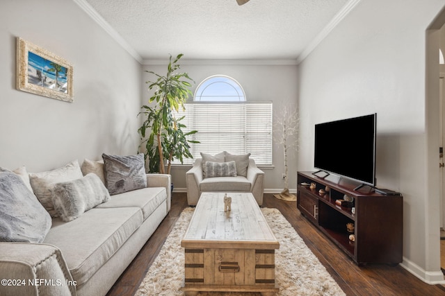 living room with dark hardwood / wood-style floors, ornamental molding, and a textured ceiling