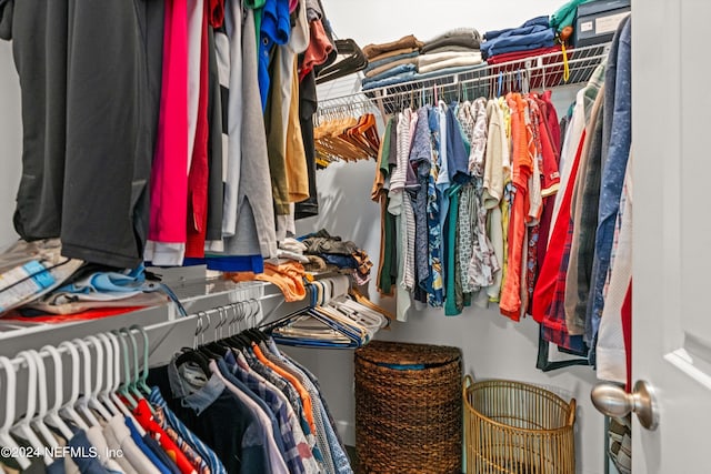 view of spacious closet