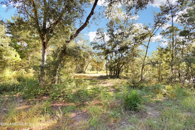 7455 Rye Ct, Keystone Heights, FL 32656 - photo 2