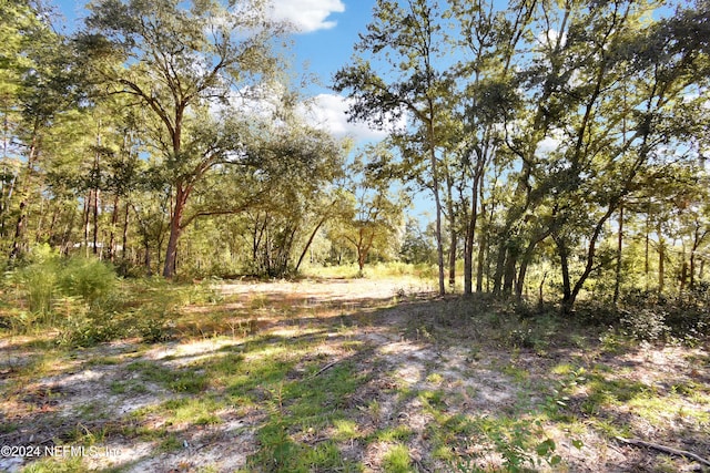 7455 Rye Ct, Keystone Heights, FL 32656 - photo 3