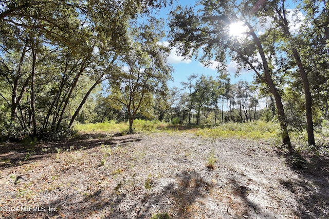 7455 Rye Ct, Keystone Heights, FL 32656 - photo 4