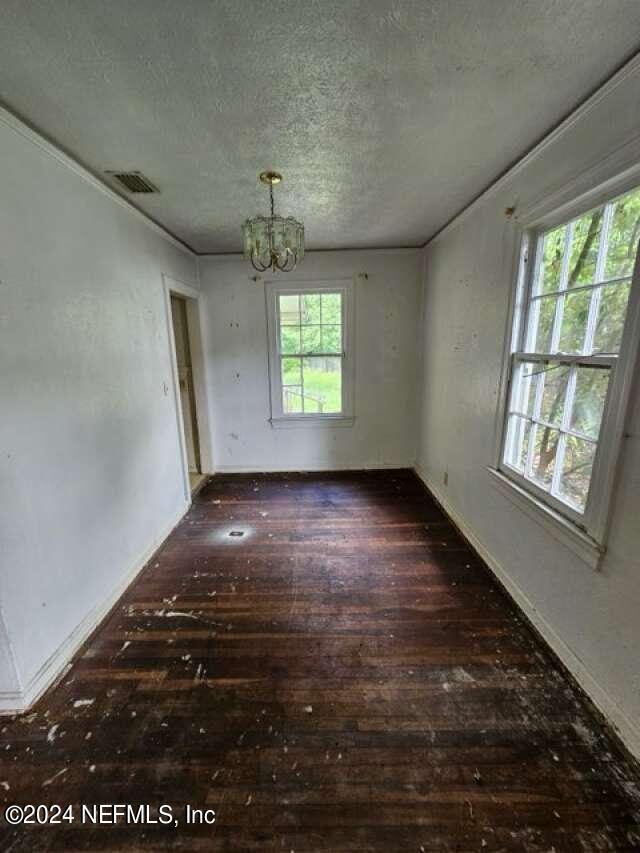 spare room with a textured ceiling, plenty of natural light, and dark hardwood / wood-style flooring