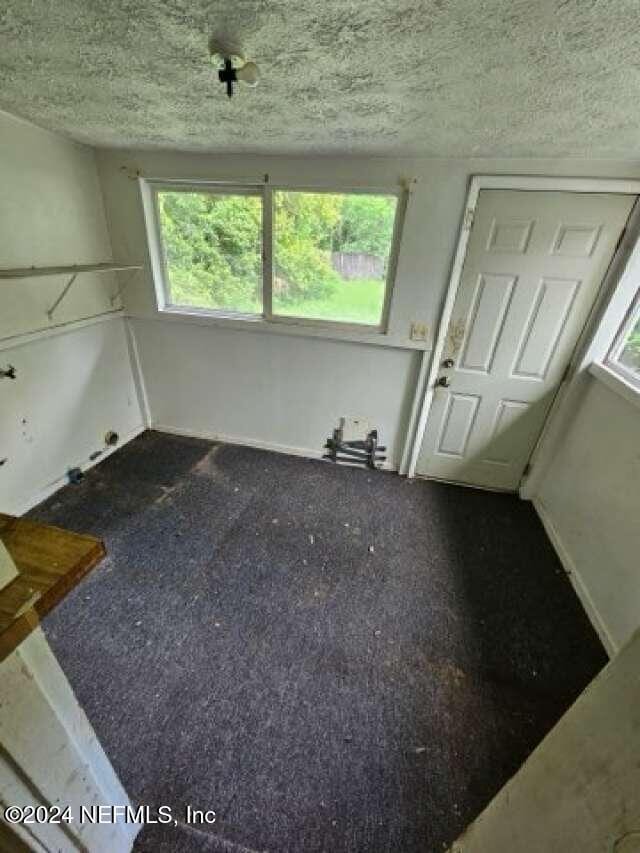 interior space with carpet floors and a textured ceiling