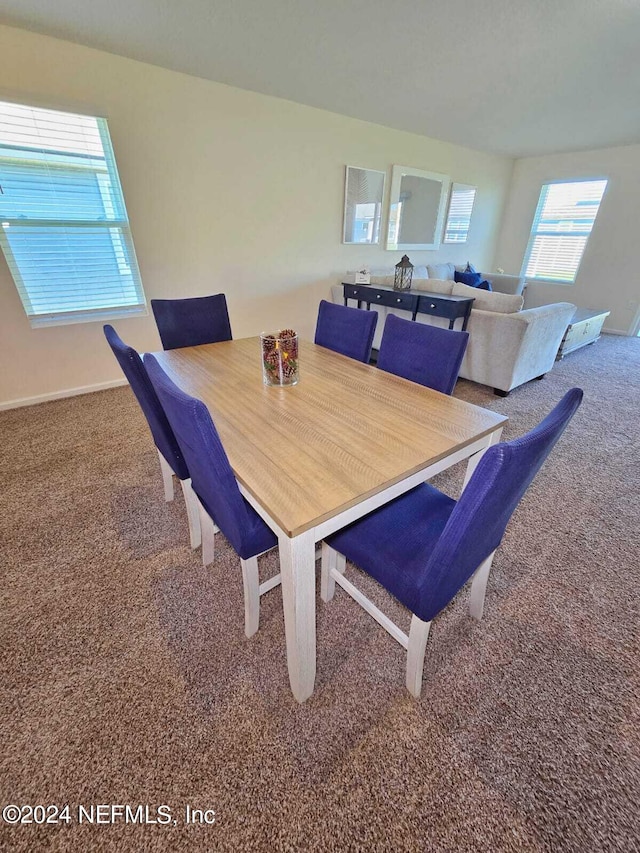 dining room featuring carpet flooring