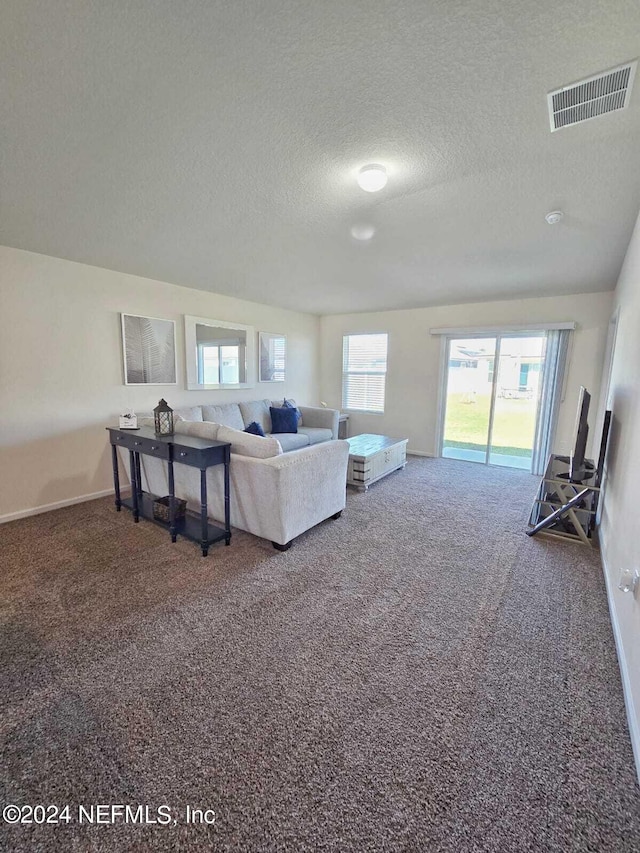 living room with carpet floors and a textured ceiling