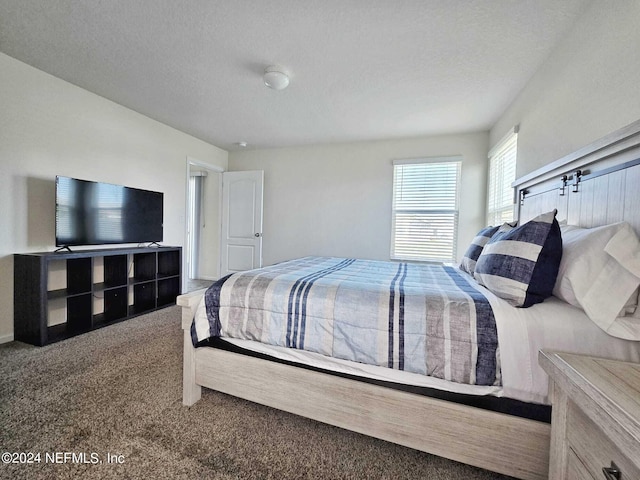 bedroom with carpet floors and a textured ceiling