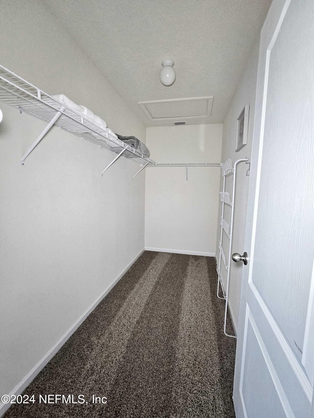 walk in closet with dark colored carpet