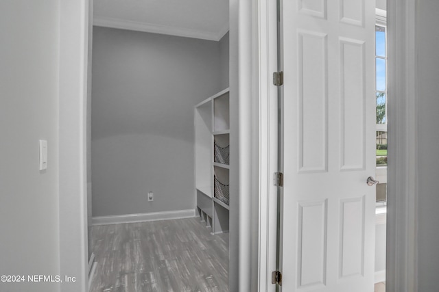 spacious closet featuring dark hardwood / wood-style floors