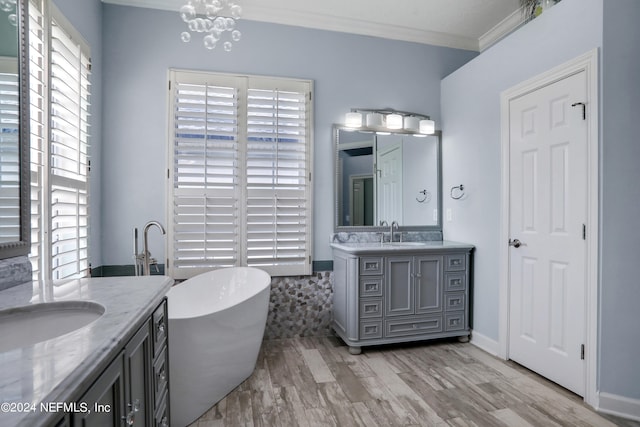 bathroom featuring vanity, plenty of natural light, ornamental molding, and a washtub