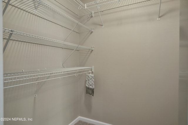 view of walk in closet