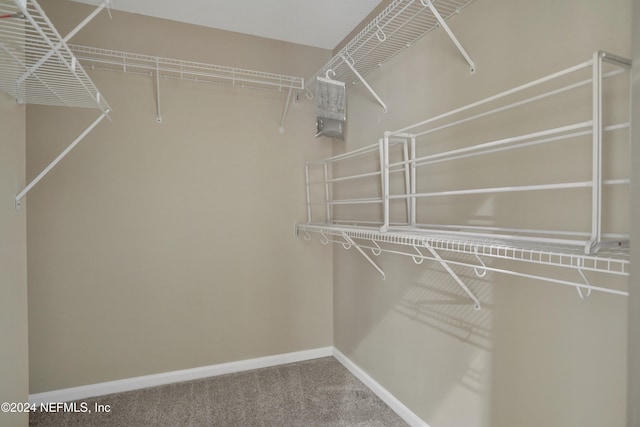 spacious closet with carpet