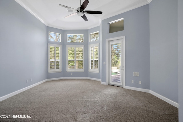 empty room featuring crown molding and carpet