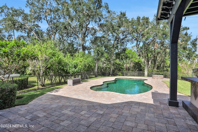 view of pool with a patio