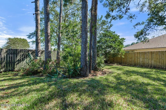 4021 Savannah Glen Blvd, Orange Park, FL 32073 - view of yard featuring a fenced backyard