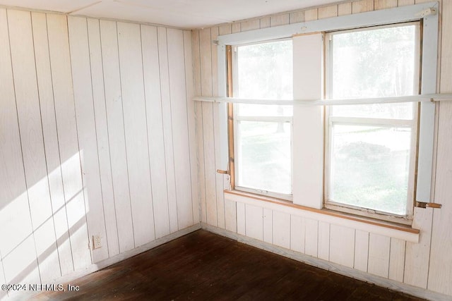 762 N Walnut St, Starke, FL 32091 - unfurnished room with wood walls, dark wood-style floors, and plenty of natural light