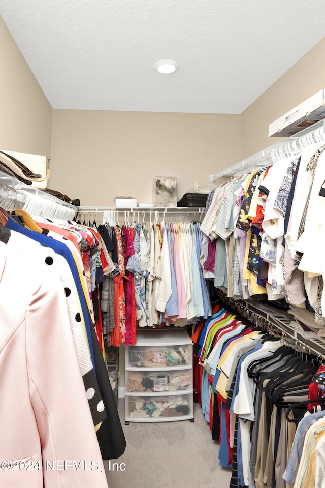 walk in closet with carpet flooring