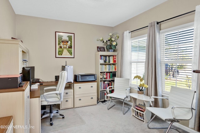 office with plenty of natural light and light colored carpet