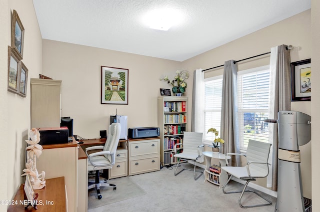 office featuring a textured ceiling and light colored carpet