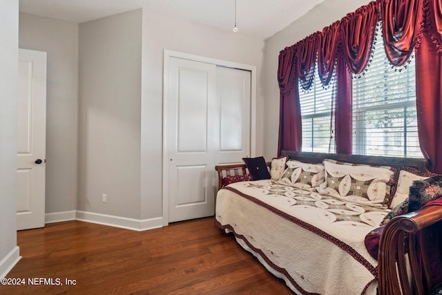 bedroom with dark hardwood / wood-style floors and a closet