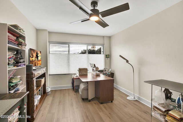 office featuring light hardwood / wood-style floors and ceiling fan