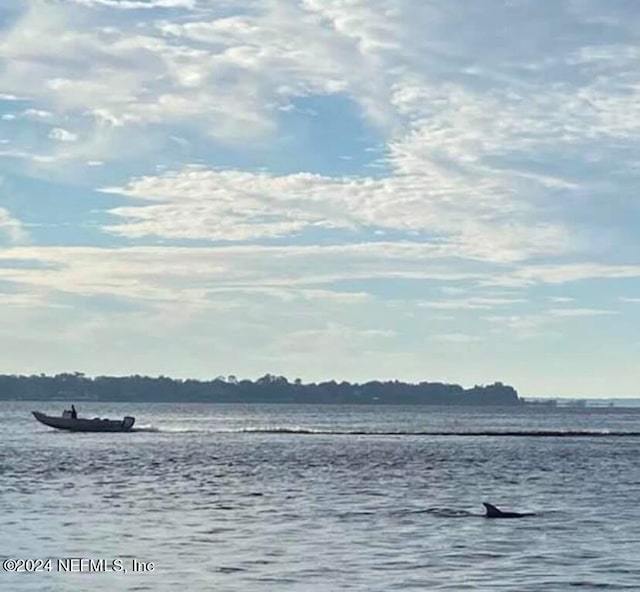 water view