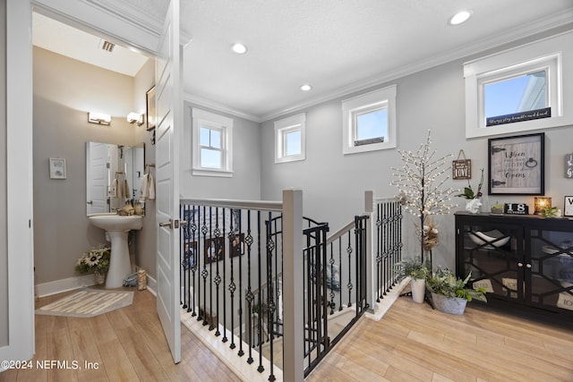 hallway with light hardwood / wood-style flooring, crown molding, and a wealth of natural light