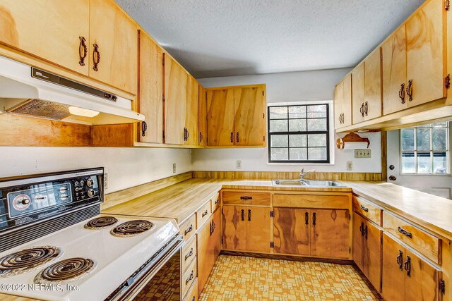 kitchen with plenty of natural light, sink, a textured ceiling, and white range oven