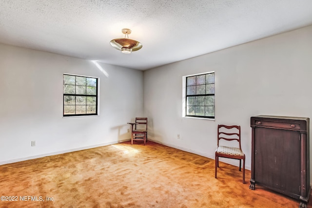 living area with carpet and a textured ceiling