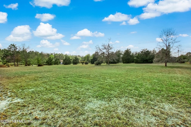 view of yard featuring a rural view