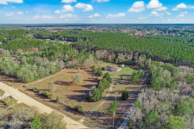 5665 Maverick, Middleburg, FL 32068 - photo 24
