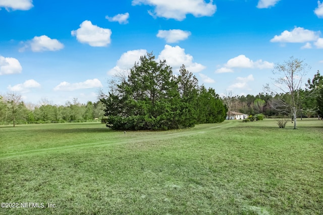 5665 Maverick, Middleburg, FL 32068 - photo 37