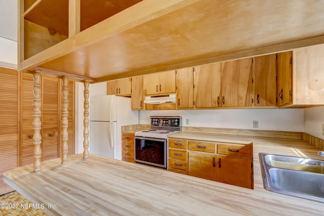 kitchen featuring electric range oven, light hardwood / wood-style flooring, and white fridge