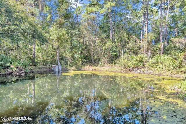 view of nature featuring a water view