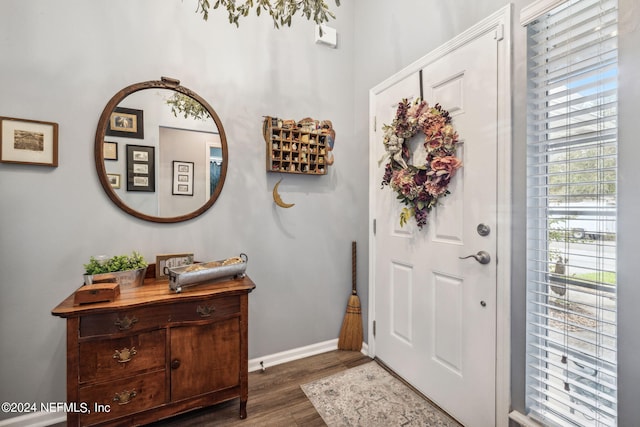 foyer with dark hardwood / wood-style flooring