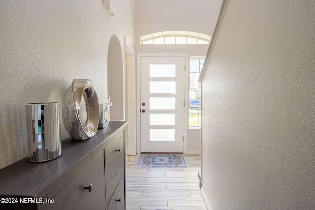 entryway featuring light hardwood / wood-style floors and plenty of natural light