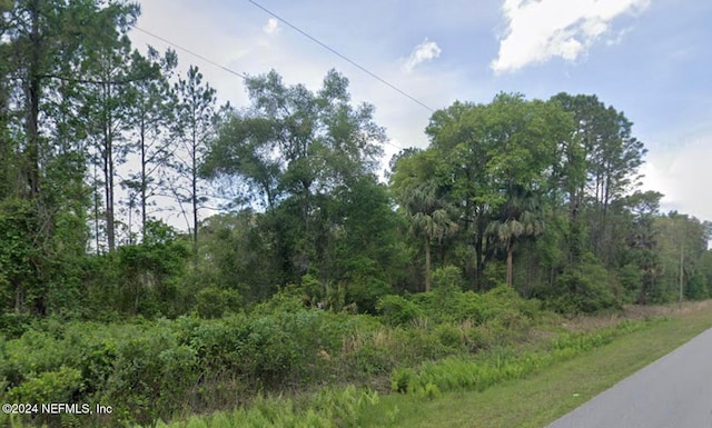 137 Lakeway Dr, Georgetown FL, 32139 land for sale