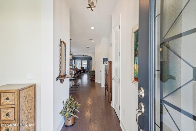 entryway with dark wood-type flooring