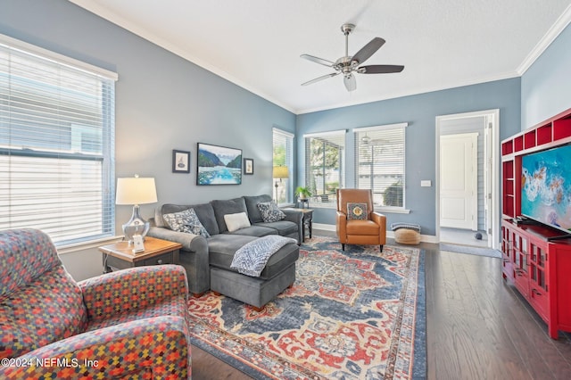 living room with dark wood-type flooring, ceiling fan, and ornamental molding