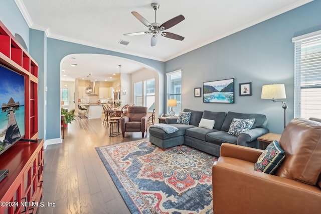 living room with ornamental molding, plenty of natural light, and hardwood / wood-style floors